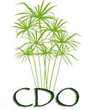 CDO